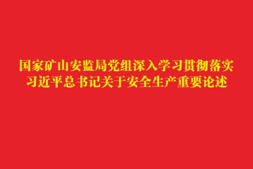 國家礦山安監局黨組深入學習貫徹落實習近平總書記關于安全生產重要論述 國家礦山安監局黨組深入學習貫徹落實習近平總書記關于安全生產重要論述